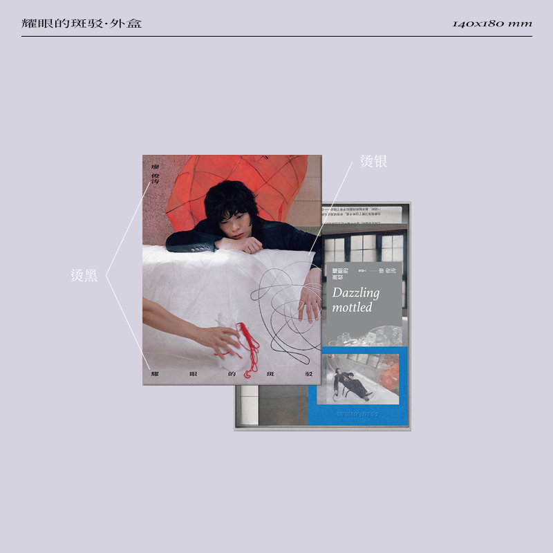 廖俊涛-《耀眼的斑驳》