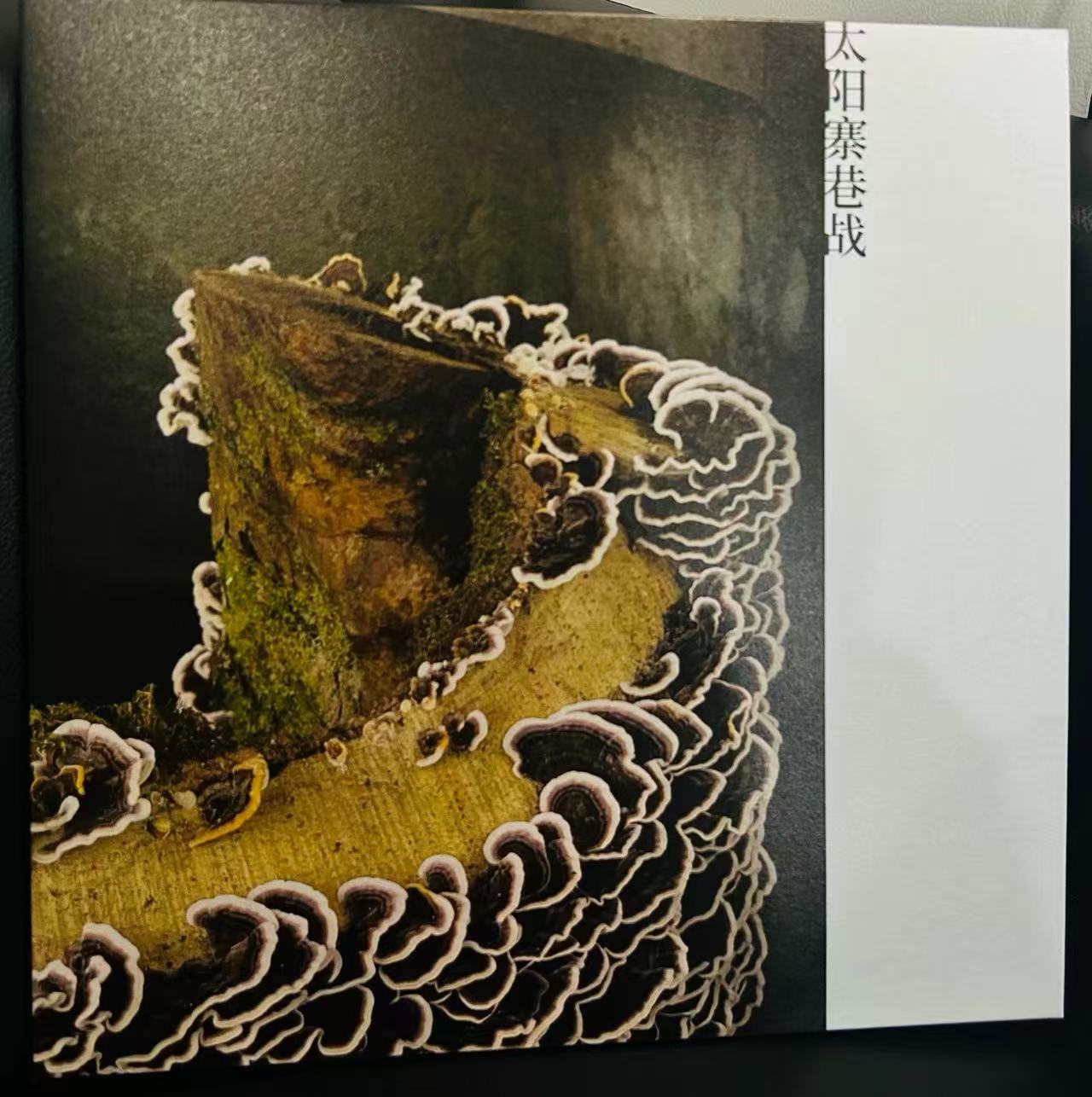 也朋-《太阳寨巷战》